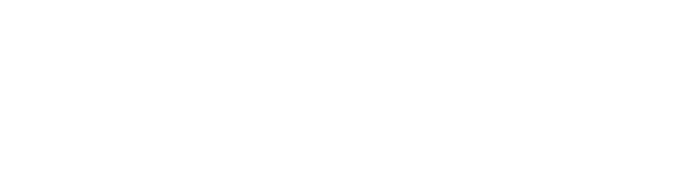 light logo